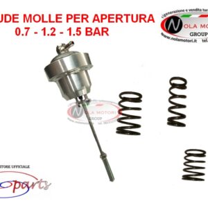 UNIVERSALE 0.7 - 1.2 - 1.5 BAR CON MOLLE